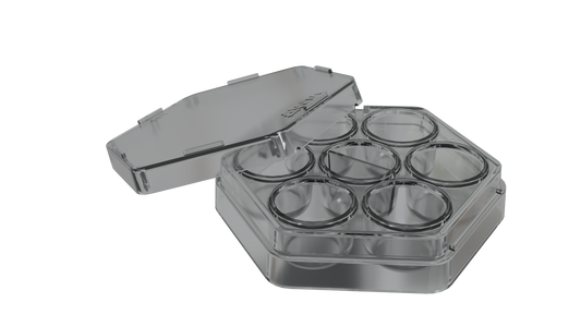 Six Well Dish